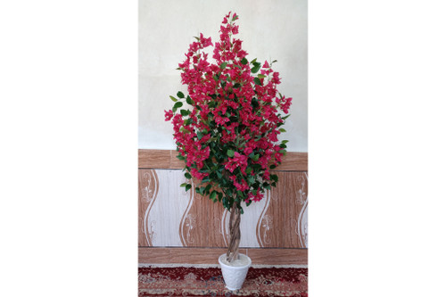 درختچه گل کاغذی