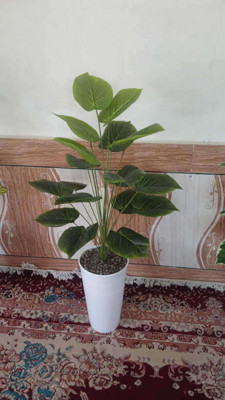 پتوس سبز ۱۸ برگ لمسی