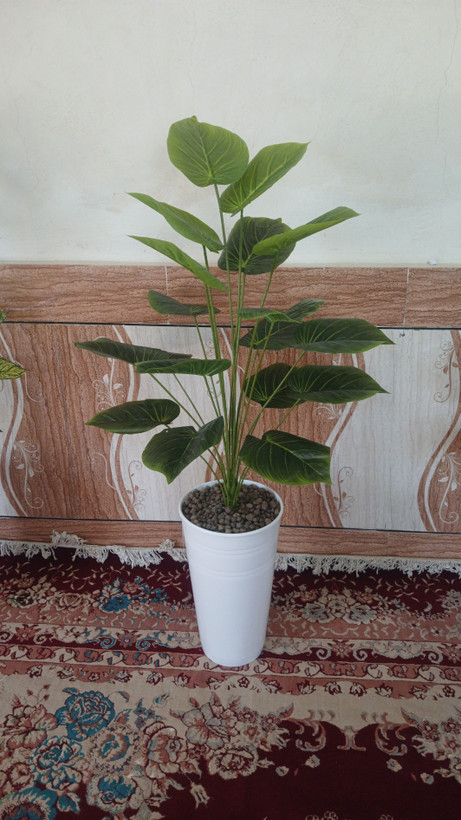 پتوس سبز ۱۸ برگ لمسی