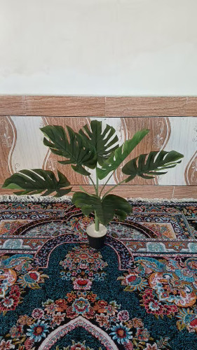 درختچه برگ انجیری