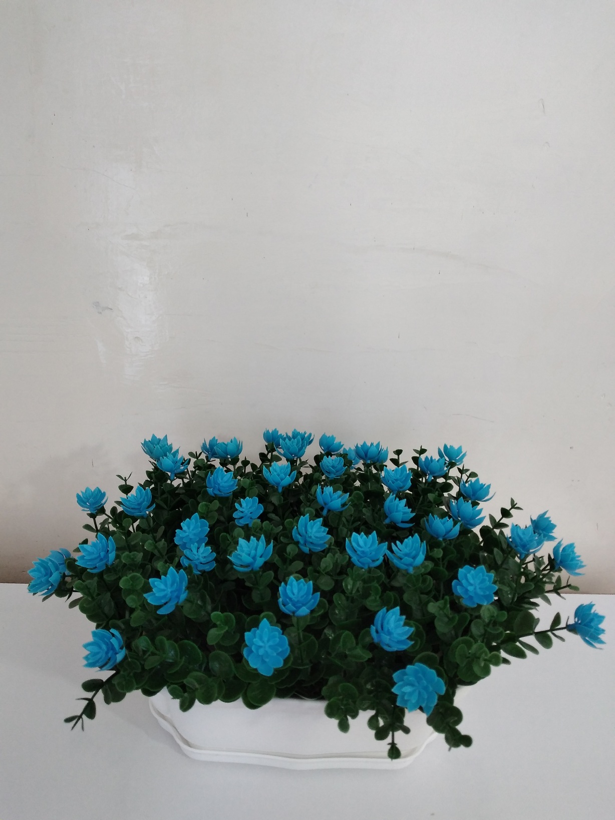 گلدان شکوفه آبی