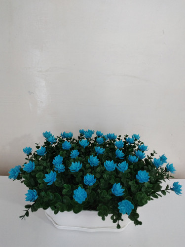 گلدان شکوفه آبی