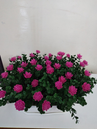 گلدان شکوفه سرخابی